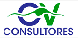 CV Consultores